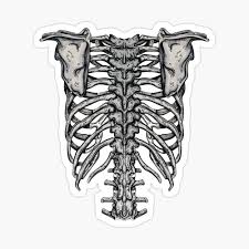 Check spelling or type a new query. Back Rib Cage Greeting Card By 0990dav Redbubble