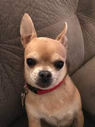 We are deeply saddened by the loss of our dear friend Mojo McKay. He was  not only a great person, but also a legend in the radio community. Our  thoughts are with