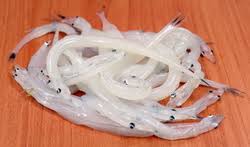 Low levels of formaldehyde occur naturally. Formaldehyde In Noodlefish