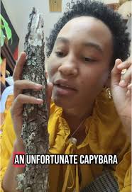 National Geographic Tv Show Clips