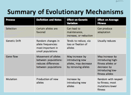 Biology Lecture 12 Flashcards Quizlet