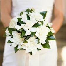 Gardenia is a wedding floral studio located in irving, texas, specializing in event decor and memorable floral designs. 68 Magnolia Gardenia Camellia Ideas In 2021 Gardenia Wedding Bouquets Wedding