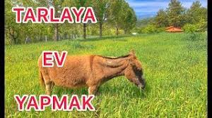 Tarlalarda imar izni var mı? Koye Yerlesmek Tarlaya Ev Yapmak Nasil Yapilir Izin Nasil Alinir Youtube