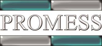 W rezultacie stworzysz autorskie kolekcje bielizny. Promess Inc Industrial Consulting Greater Brighton Area Chamber Of Commerce Mi