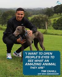 Following the recent public health orders, and the increase in visitors to our area, we're temporarily closing select services. Take It From Our Gap Nsw Ambassador Greyhounds As Pets Facebook