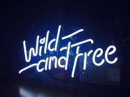 Handmade Wild And Free Beautiful Art Sign Banner Neon Signs Neon Neon Light Signs