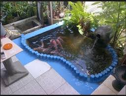 Itulah cara membuat kolam renang minimalis. Cara Terlengkap Membuat Kolam Ikan