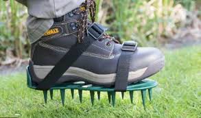 There is no better way to aerate your lawn. Spike Vs Plug Aerator Which One To Use How They Work Cg Lawn