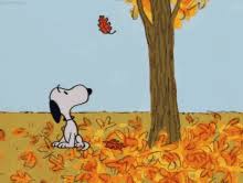 Maybe you would like to learn more about one of these? Falling Leaves Animation Gifs Tenor
