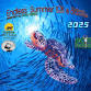 Endless Summer 10K & 5K event image