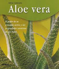 El aloe vera es una planta llena de muchos beneficios, pero a muchas personas no les gusta el olor tan fuerte de la sábila o aloe vera ya que al ser cortada desprende un líquido amarillo con un olor que no es muy agradable al olfato. 9788430544912 Aloe Vera Bienestar Spanish Edition Abebooks Canevaro Silvia 8430544917