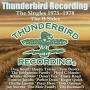Thunderbird B-Side from open.spotify.com