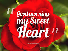 And wish good morning to your lover by sending good morning with flowers & good morning love images. 10 Beautiful Good Morning Love Wallpapers Good Morning Love Romantic Good Morning Messages Good Morning Rose Images