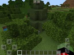 Acacia Leaves Texture | Nova Skin