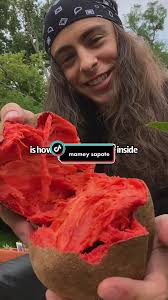 Different Types of Melanie Fruits