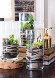 Hwtf X Makers Kit Diy Sand Art Terrarium Fioriere Succulente Piante Da Terrario Giardino Di Piante Grasse