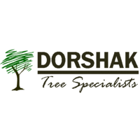 With more than 51 wauwatosa trails covering 734 miles, you're bound to find a perfect trail like the eisenbahn state trail or new berlin recreation trail. Top 10 Best Tree Removal Services In Wauwatosa Wi Angi Angie S List