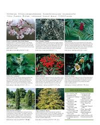 O plantă de dimensiuni reduse cu flori galbene, albe sau mov care înflorește primăvara = brândușă o pasăre acvatică mare, cu gât lung și grațios = lebădă. Dk Encyclopedia Of Landscape Design Daumenkino Seite 301 350 Pubhtml5