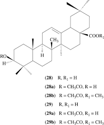 Image result for Tricalysia niamniamensis