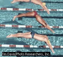 We did not find results for: Natacion Monografias Com