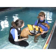 Canine Therapies, Preston