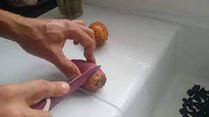 Avant toutes choses, ne cueillez surtout pas la poire de cactus à mains nues sur les figuiers de barbarie… de fines épines appelées. Comment Eplucher Une Figue De Barbarie Et La Facon De La Manger Youtube