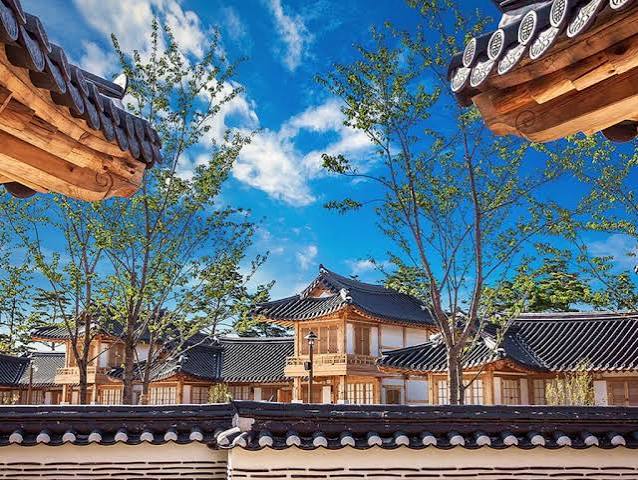 강릉 빵굽는 마을, 오죽 写真 2