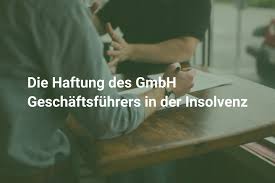 Zahlungsunfähigkeit, drohende zahlungsunfähigkeit und überschuldung. Die Haftung Des Gmbh Geschaftsfuhrers In Der Insolvenz B Iq