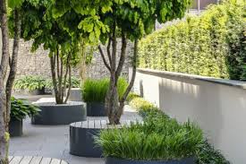 Parrotia Persica Persischer Eisenholzbaum Gh Pesarini Baume Garten Garten Baum Vorgarten