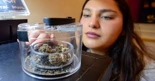 License to chill: Vermont now well over 1,000 cannabis business employees