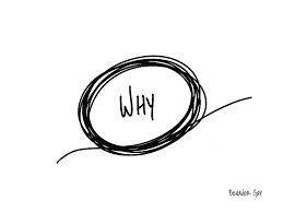 The Big “Why” - Behavior Gap