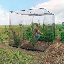 Sure, they're a beautiful and important addition to your yard, but you aren't growing all those beautiful spring garden veggies to have them fly away. Finding Or Creating Types Of Garden Netting Frames That Work My Allotment Garden