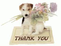 It gives us great pleasure to serve customers who are choosy about the puppies they add as family members. Thank You Dog Puppy Gif Thankyoudog Puppy Spring Discover Share Gifs Puppy Gif Your Dog Puppies Gif
