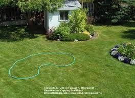 Transform an old garden into the most beautiful garden in the world. Planning Out New Garden Beds Bed Shapes Garden Org