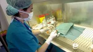 Leucemia fulminante uccide in appena tre ore. Leucemia Fulminante Sintomi E Cause Cronaca Ilrestodelcarlino It