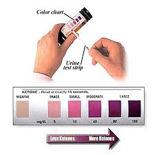 Ketone Test Strips Ketosis Test Strips China Urine Test