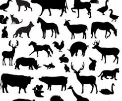 Download Vector Farm Animal Silhouette Collection Silhouettes Vector Graphics Ai Svg Eps Vector Free Download