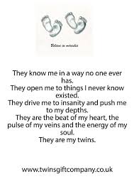 Thetwinsgiftcompany Thetwinsgiftcom Twitter Twin Quotes Mom Life Quotes Mom Quotes