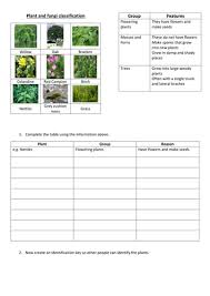 Plant Classification Worksheet Google Search Plants Worksheets Plant Classification Classifying Plants
