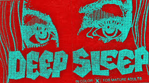 Deep Sleep: How an Amateur Porn Film Set Off a Massive Federal Witch Hunt