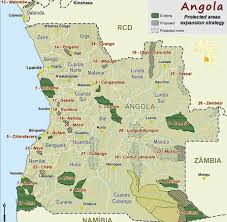 Image result for Congolanthus longidens