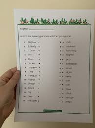 collective nouns worksheet printable for home learning emma and 3