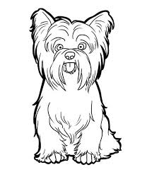 Psy i koty kolorowanki do wydruku. Znalezione Obrazy Dla Zapytania Kolorowanki Do Wydruku Kon Puppy Coloring Pages Dog Coloring Page Yorkie Dogs