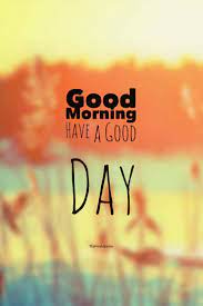Pick your favorite morning meme and don't forget to share with your family, friends, and colleagues! 40 Funniest Inspirational Quotes Best Funny Memes Images Daily Funny Quotes