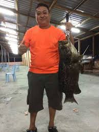 Kolam Pancing Fish Garden Home Facebook