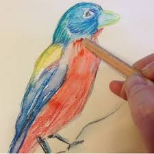 The house is your own and it's best to end it in a means that today we will learn how to use watercolor pencils for beginners.if you do not know yet what exactly are the watercolor pencils and how do you paint with. 12 Watercolour Projects For Beginners And School Teachers The Paint Spot Art Supplies And Art Classes Edmonton