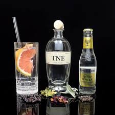 Products include financials, hr & payroll, supply chain and business intelligence. The Noble Experiment Gin Tne Ginvasion De