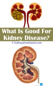 Kidney Disease Awareness Recipes For Kidney Disease Polycystic Kidney Disease Kidney Disease Symptoms