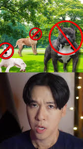 we need to talk about this law in the UK for XL Bully Dogs. #dogs #UK