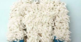 Yeti Cookie Cookie Decorating Lion Sculpture Yeti